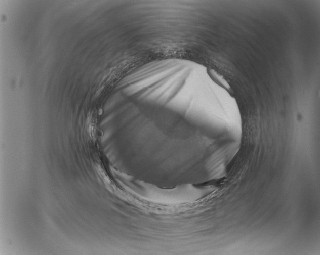 X0000053100039200508012110