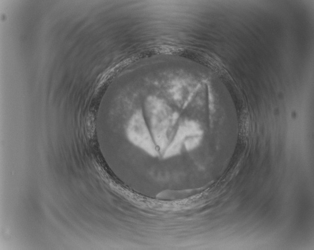 X0000053100043200508012110