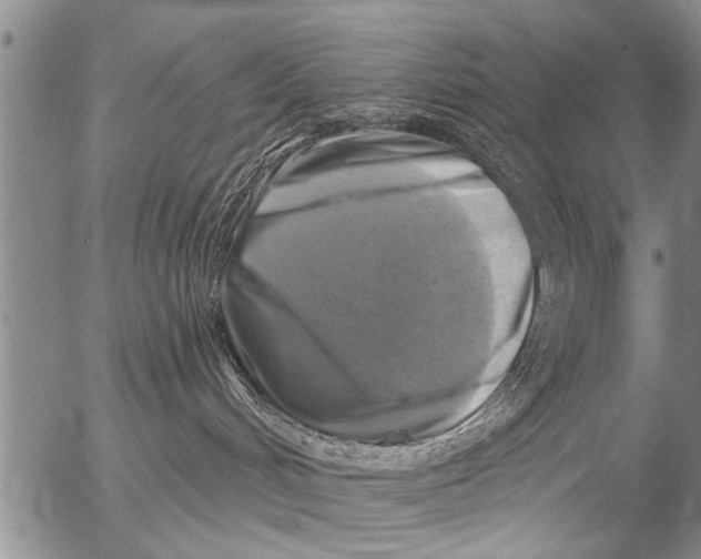 X0000053100048200508012110