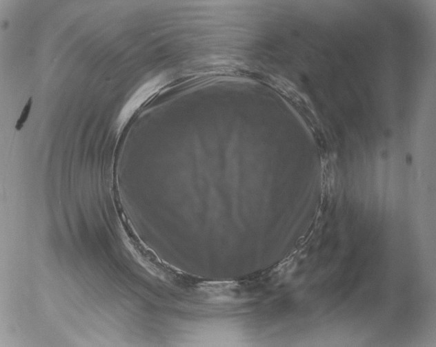 X0000053100051200508012109