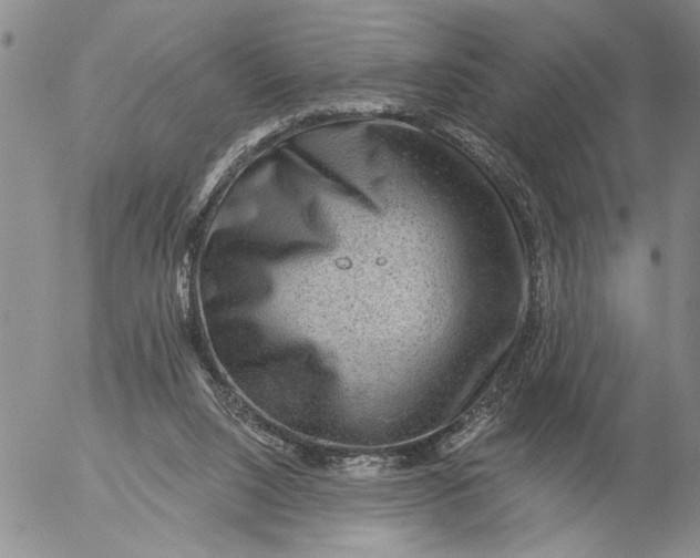 X0000053100064200508012109