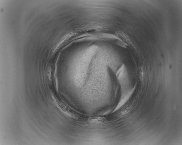 X0000053100072200508012109