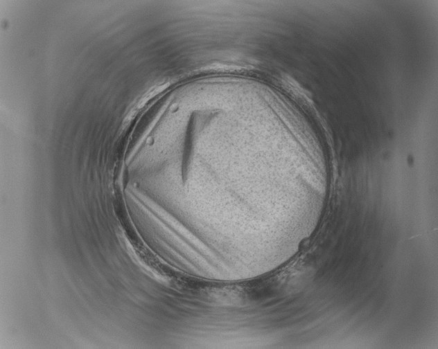 X0000053100106200508012109