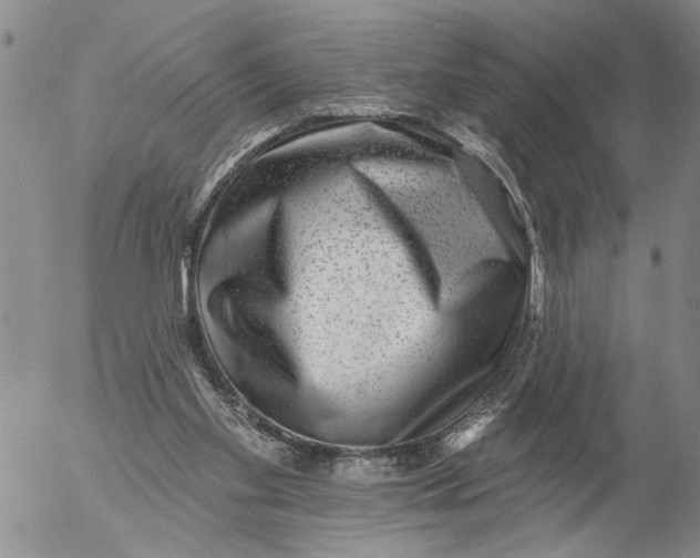 X0000053100109200508012109