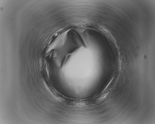 X0000053100113200508012109