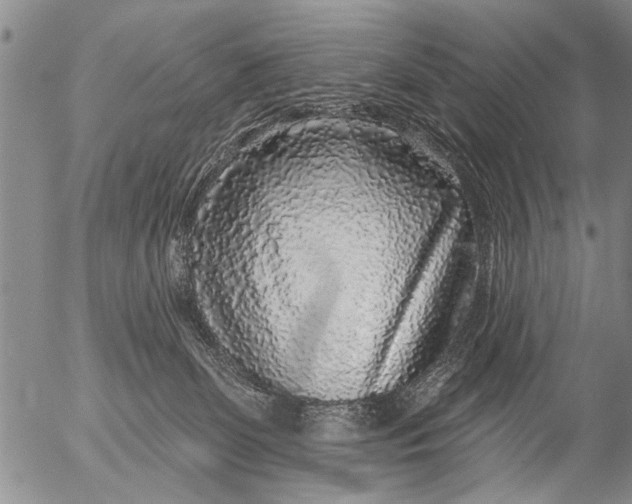 X0000053100131200508012108
