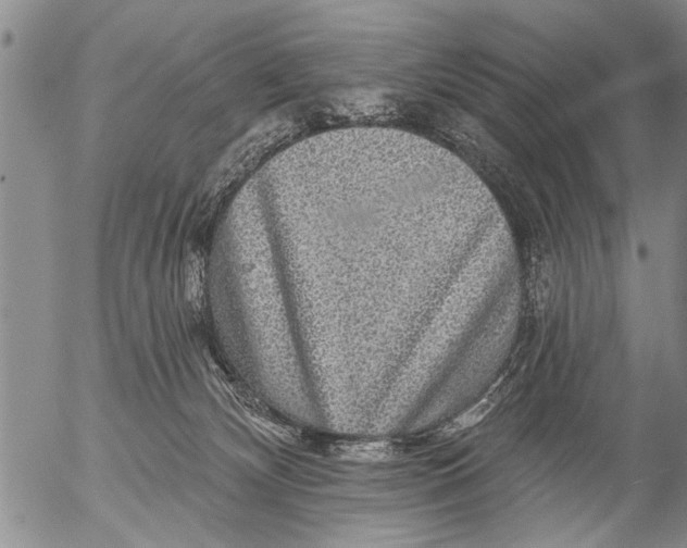 X0000053100132200508012108