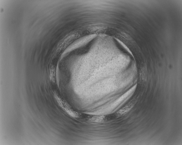 X0000053100138200508012108