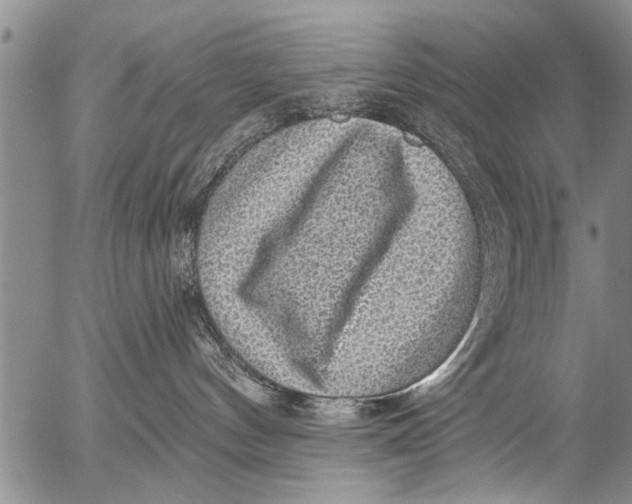 X0000053100144200508012108
