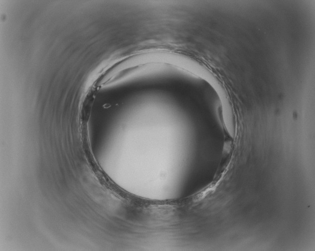 X0000053100150200508012107