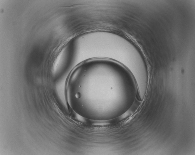 X0000053100154200508012108
