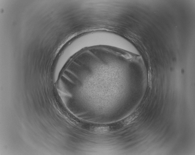 X0000053100156200508012108