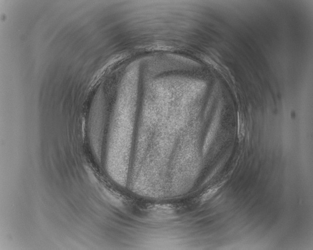 X0000053100157200508012108