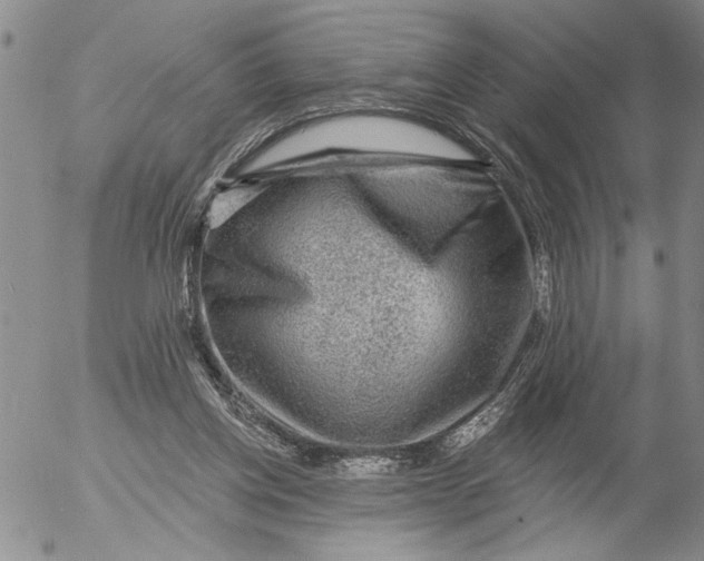 X0000053100158200508012108
