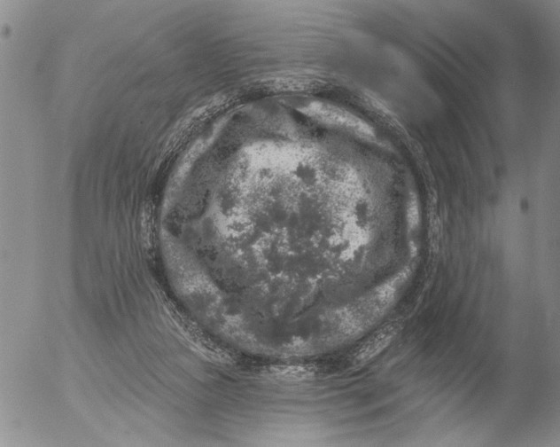 X0000053100161200508012108