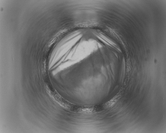 X0000053100163200508012108