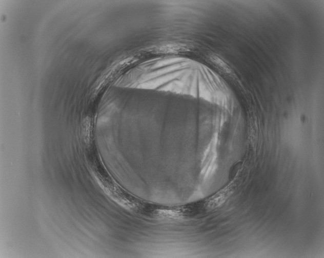 X0000053100167200508012108
