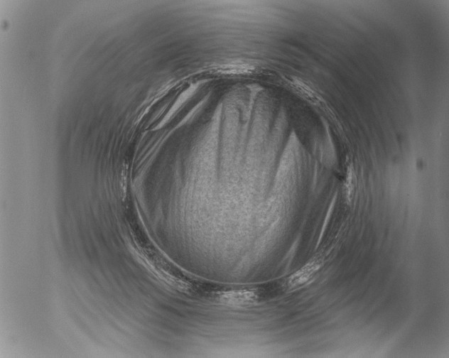 X0000053100168200508012108