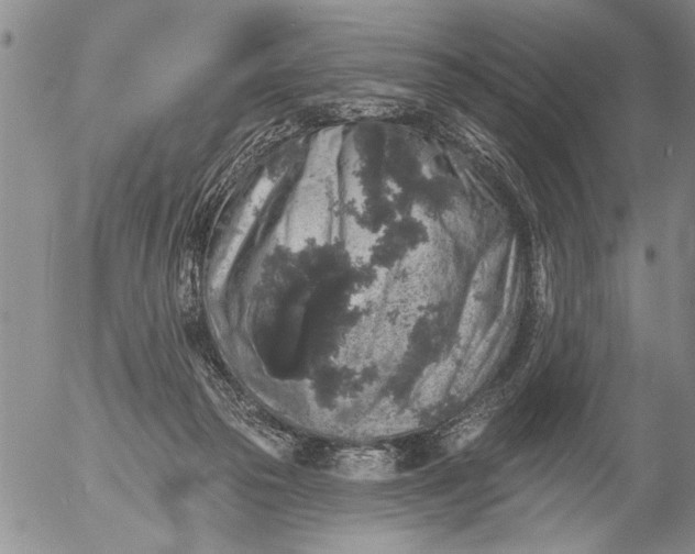 X0000053100169200508012108