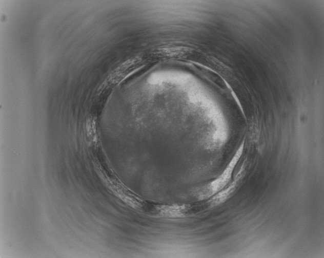 X0000053100182200508012108