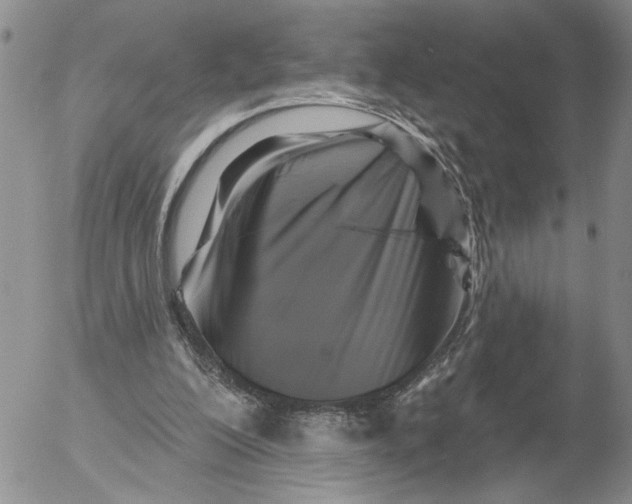 X0000053100200200508012107