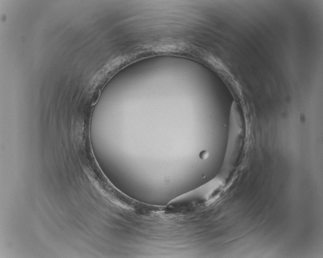 X0000053100201200508012107