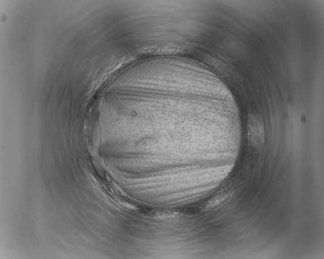 X0000053100206200508012107