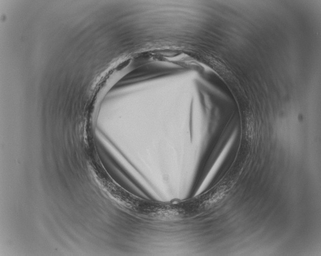 X0000053100256200508012106