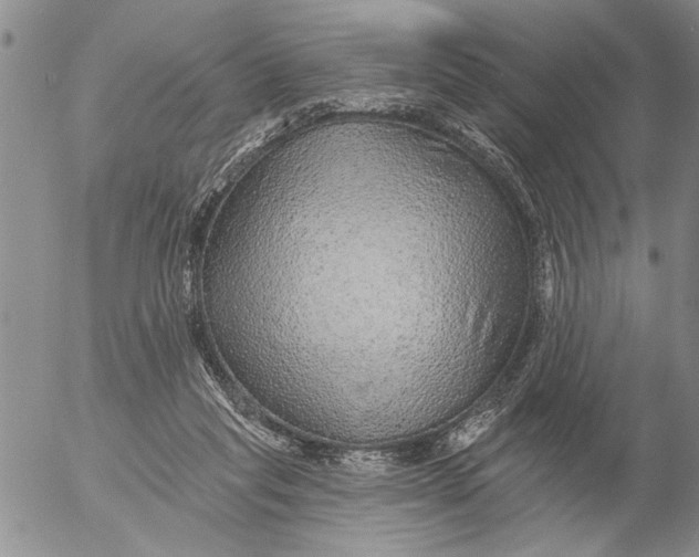 X0000053100261200508012106