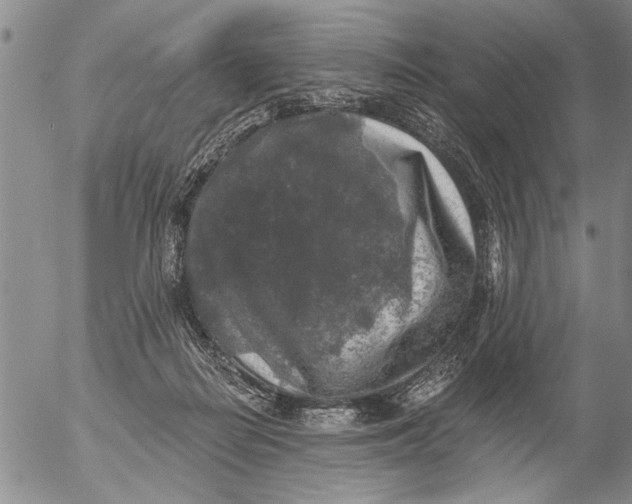 X0000053100266200508012106