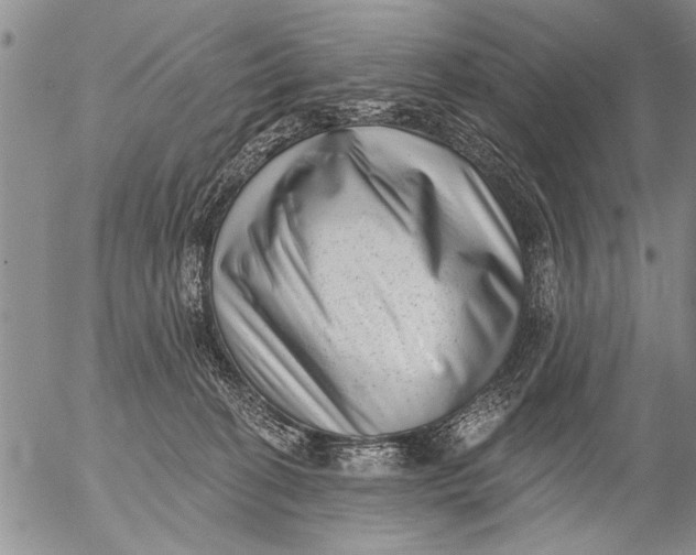 X0000053100274200508012106