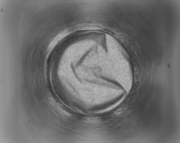 X0000053100296200508012106