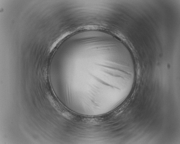 X0000053100297200508012106