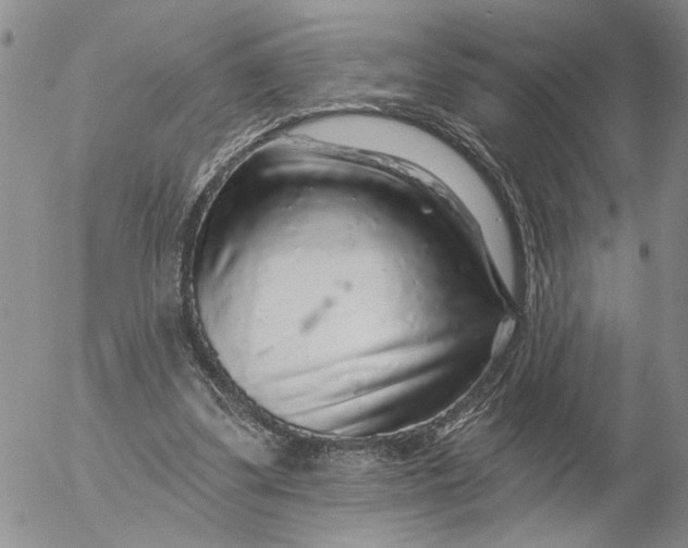 X0000053100299200508012106