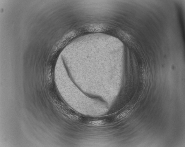X0000053100312200508012105