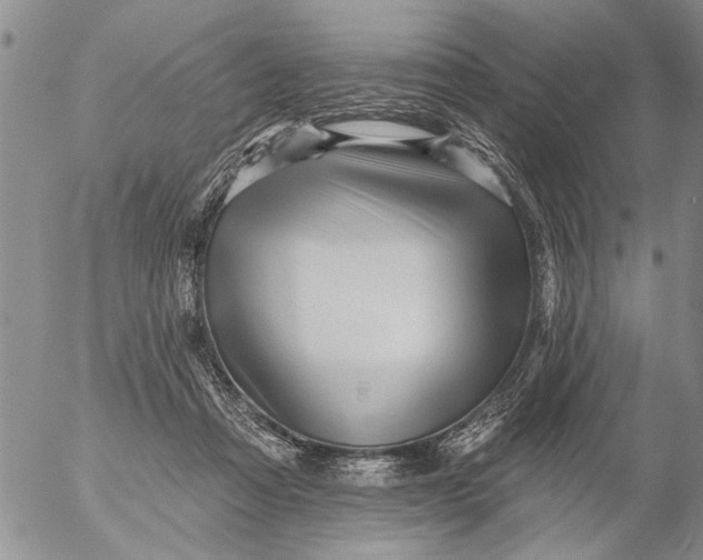 X0000053100313200508012105