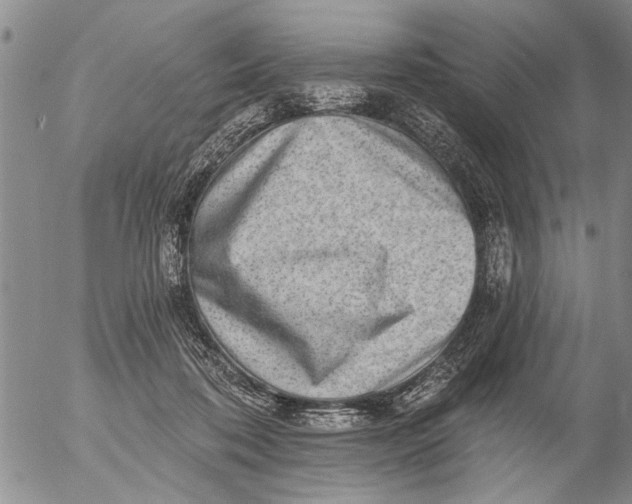 X0000053100316200508012105
