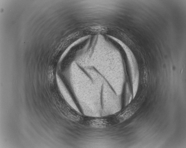 X0000053100320200508012105