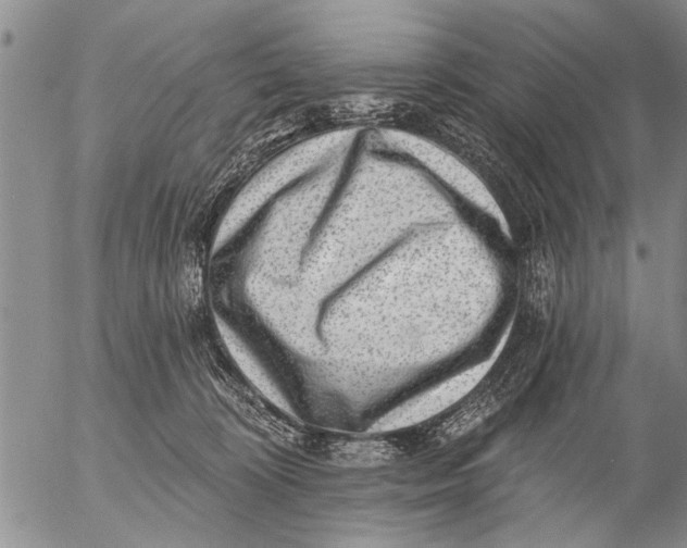 X0000053100324200508012105
