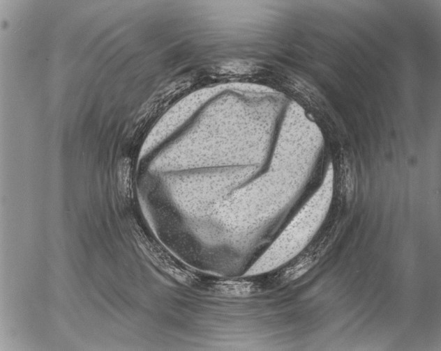 X0000053100328200508012105