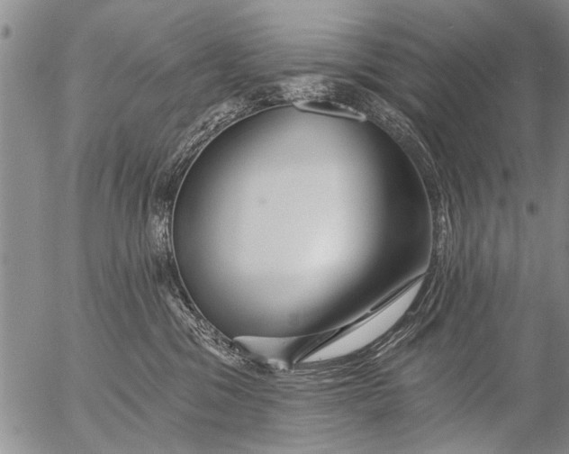 X0000053100329200508012105