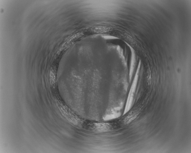 X0000053100371200508012105