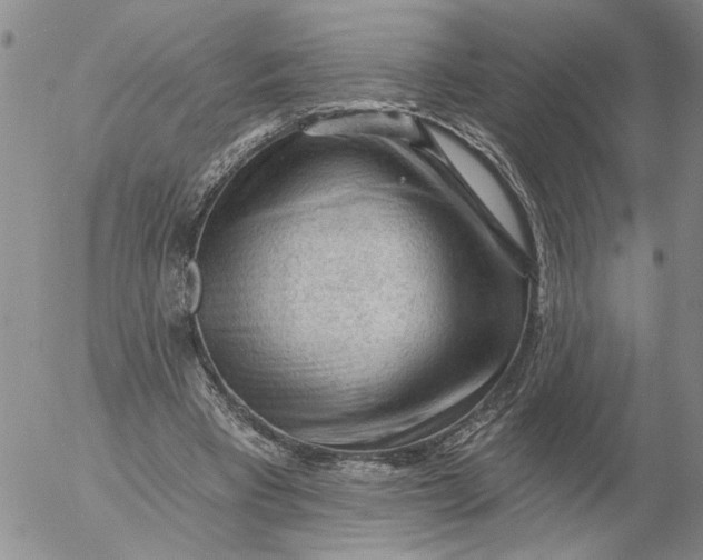 X0000053100393200508012104