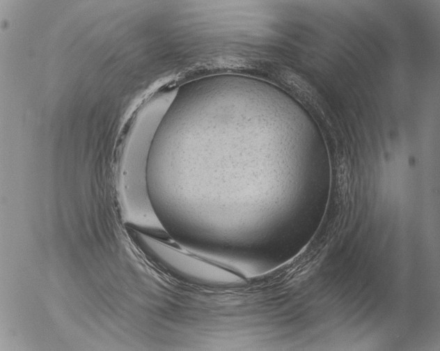 X0000053100395200508012104
