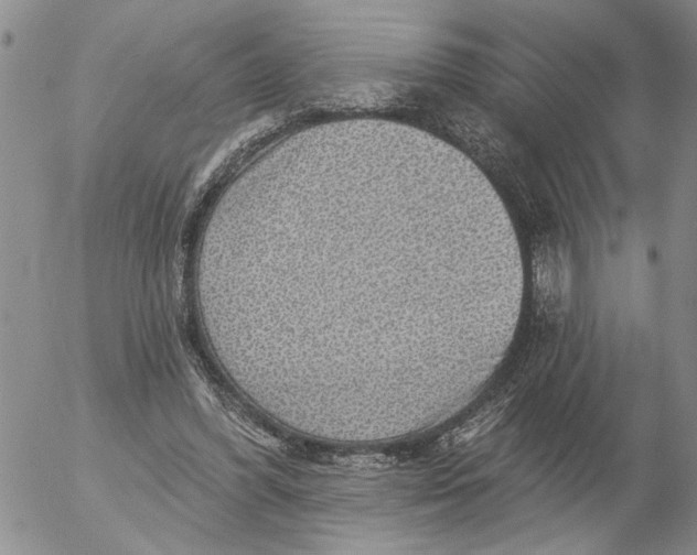 X0000053100396200508012104