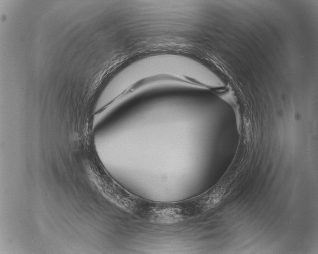 X0000053100407200508012104