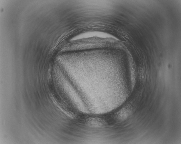 X0000053100408200508012104
