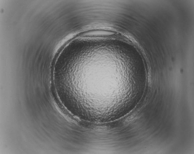 X0000053100438200508012103