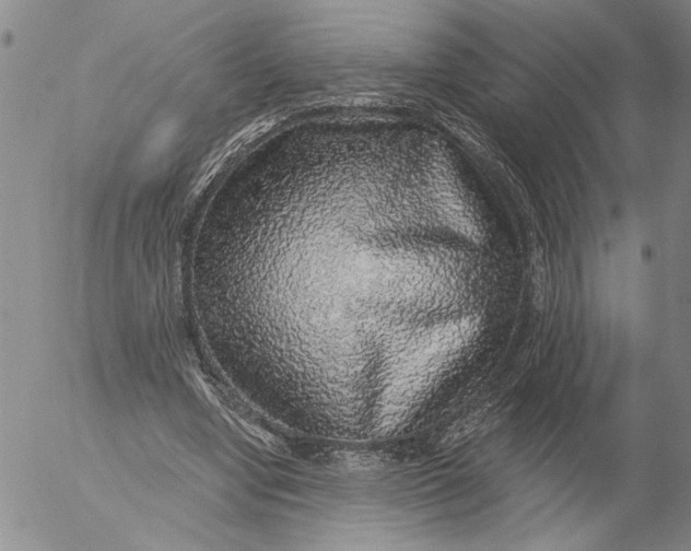 X0000053100442200508012103