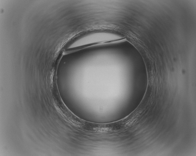 X0000053100448200508012103